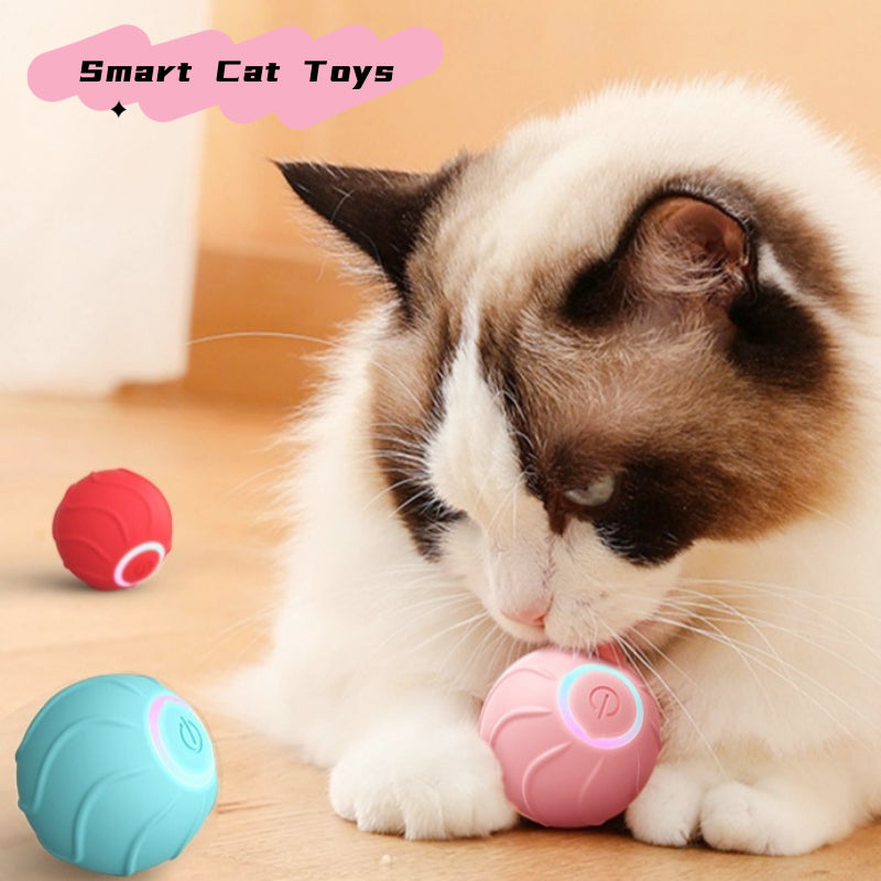 Smart Cat Toys Rolling Ball